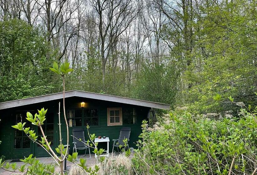 Номер Стандарт с Террасой, D Alde Pastorije