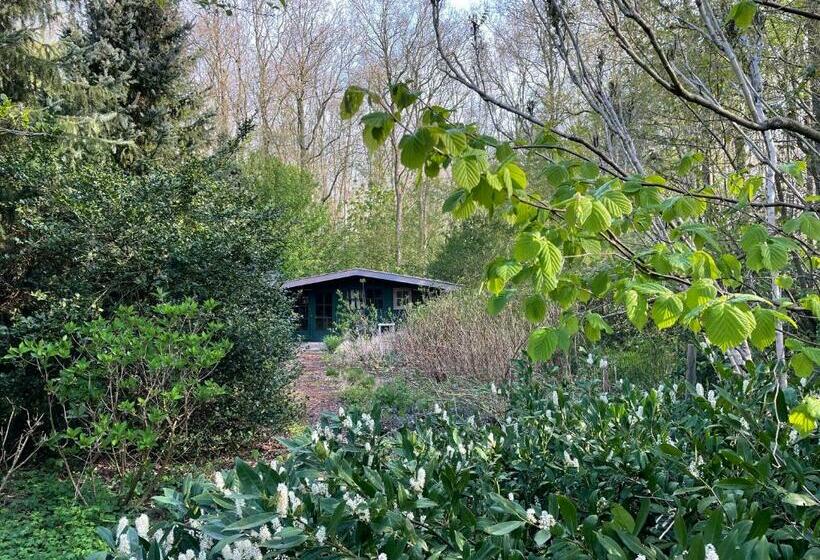 Номер Стандарт с Террасой, D Alde Pastorije