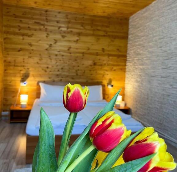 带大床的豪华间, Somogyi Vendégház