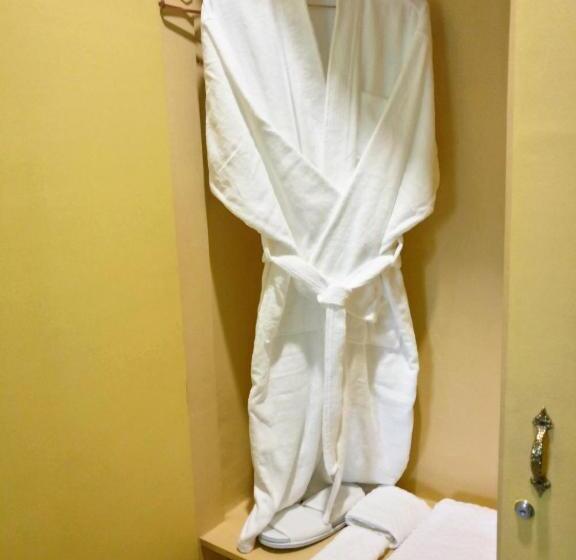 غرفة قياسية فردية, Belfort House B&b