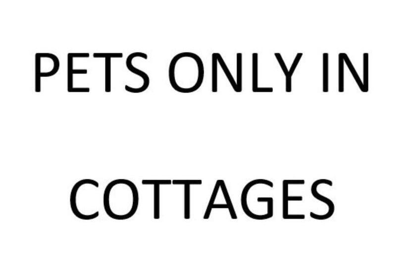 جناح سوبيريور, The Bear Inn