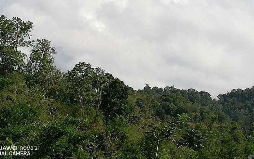 デラックスルーム, Bondoilampang