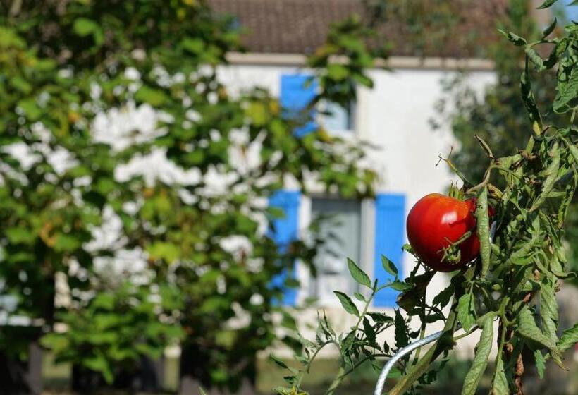 标准间, Moulin De Mauzac