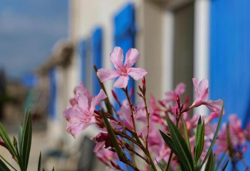 标准间, Moulin De Mauzac