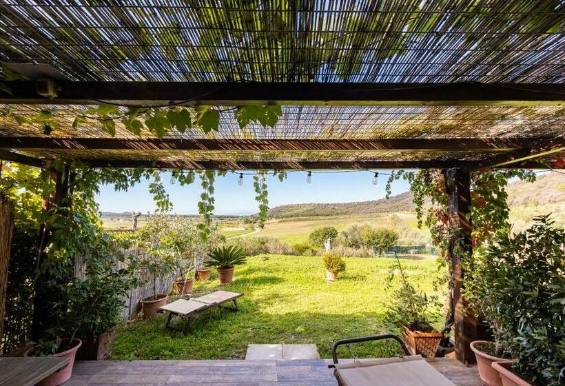 Апартаменты 1 Спальня с Видом, Agriturismo Podere Binacco