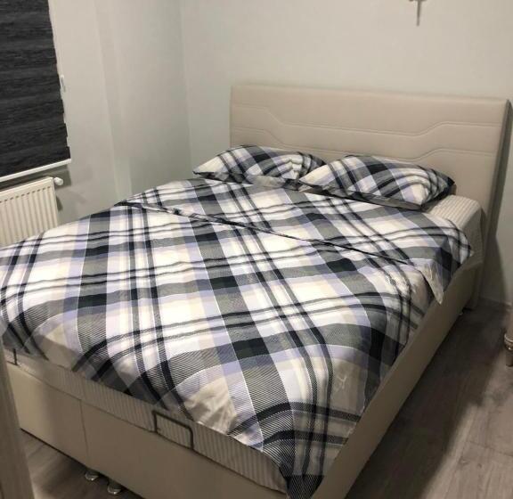 آپارتمان 1 خوابه با بالکن, Karakoçan Apart Otel