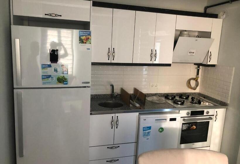 آپارتمان 1 خوابه با بالکن, Karakoçan Apart Otel