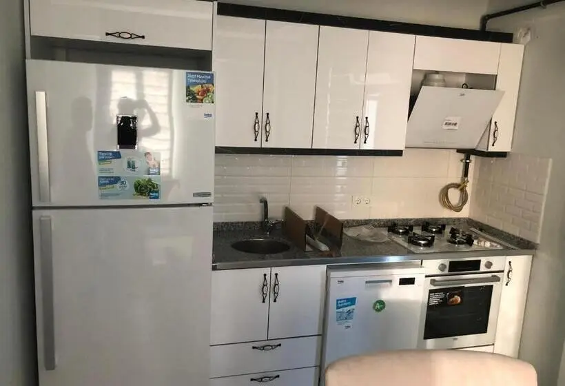 バルコニー付き１ベッドルームアパートメント, Karakoçan Apart Otel