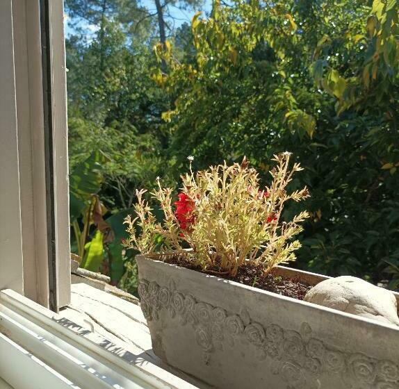 标准间, Le Jardin De Myrtille