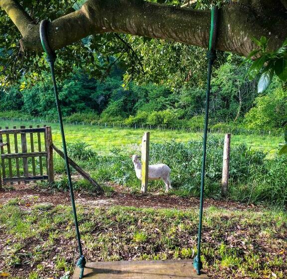 带大床的标准间, L Adret Du Bois