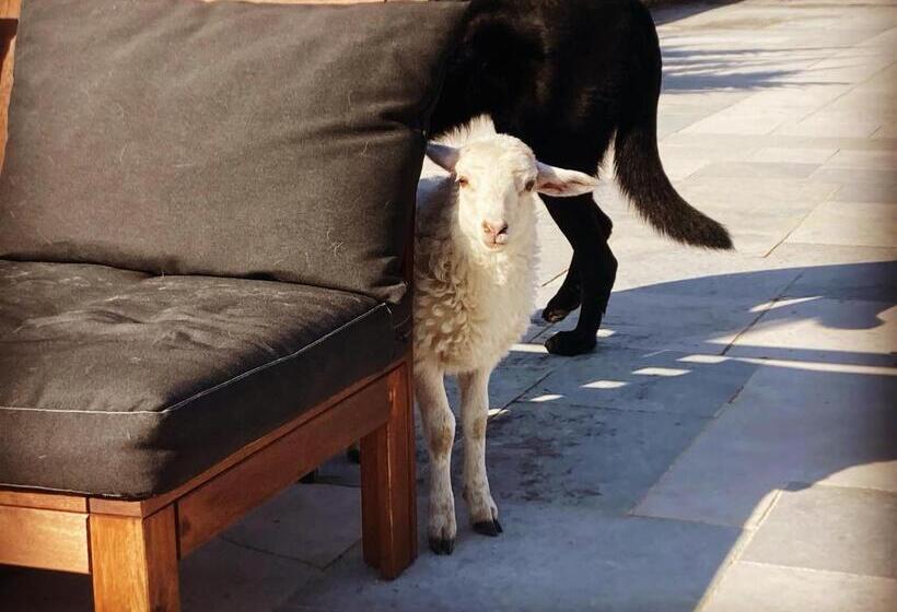 带大床的标准间, L Adret Du Bois