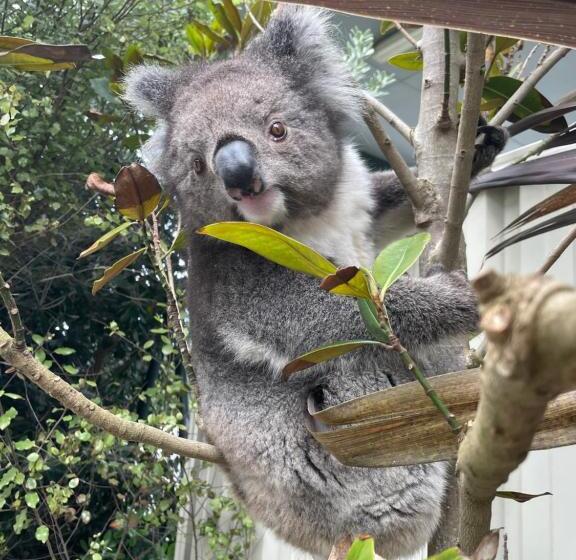 غرفة ديلوكس, Coastal Motel