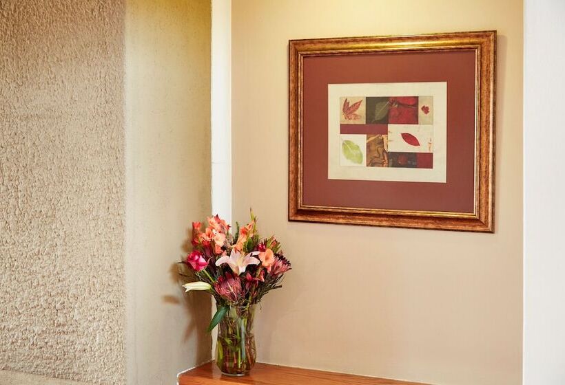 בקתת חדר, First Group Midlands Saddle And Trout