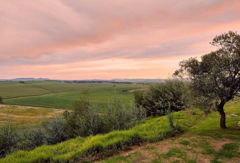בקתת חדר, First Group Midlands Saddle And Trout