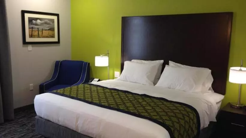 ２ダブルベッドのスタンダードルーム, Hawthorn Suites By Wyndham San Angelo