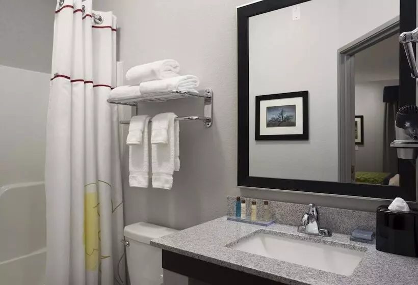 ２ダブルベッドのスタンダードルーム, Hawthorn Suites By Wyndham San Angelo
