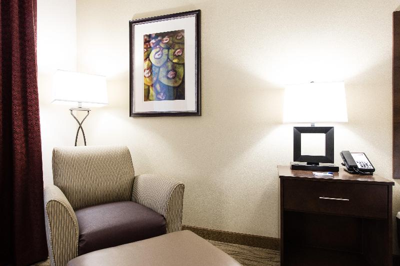 غرفة قياسية سرير كينج, Holiday Inn Express & Suites Aiken, An Ihg