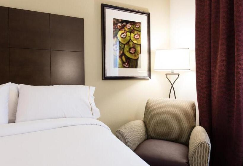 غرفة قياسية لذوى الاحتياجات الخاصة, Holiday Inn Express & Suites Aiken, An Ihg