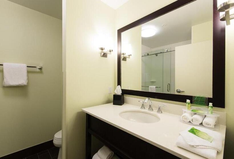 غرفة قياسية لذوى الاحتياجات الخاصة, Holiday Inn Express & Suites Aiken, An Ihg