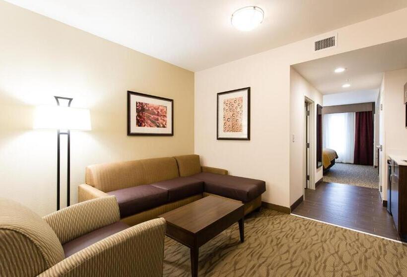 جناح إدارى, Holiday Inn Express & Suites Aiken, An Ihg