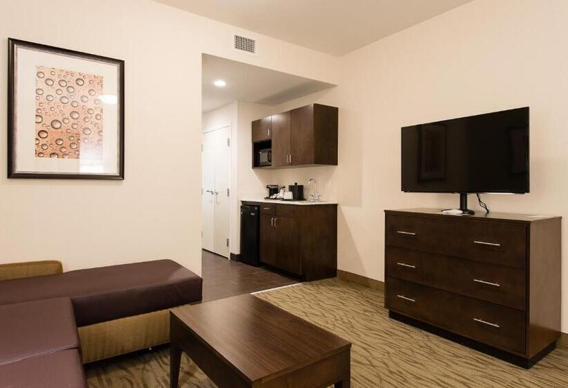 جناح إدارى, Holiday Inn Express & Suites Aiken, An Ihg