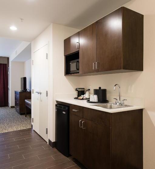 جناح إدارى, Holiday Inn Express & Suites Aiken, An Ihg