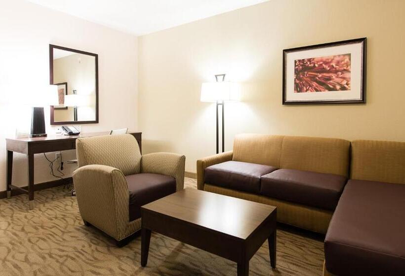 行政套房, Holiday Inn Express & Suites Aiken, An Ihg