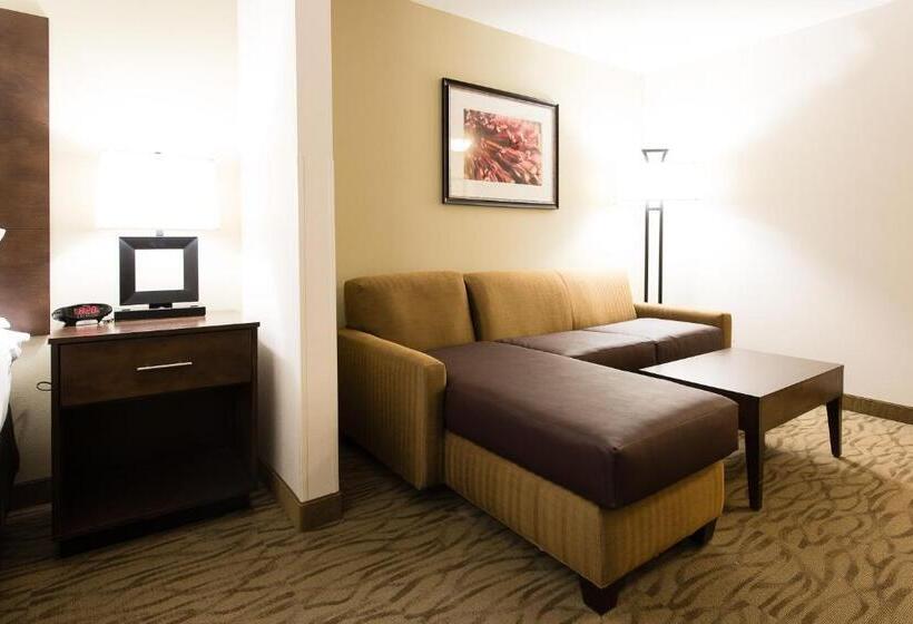 غرفة قياسية سرير كينج لذوى الإحتياجات الخاصة, Holiday Inn Express & Suites Aiken, An Ihg