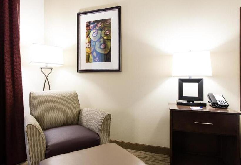 غرفة قياسية سرير كينج, Holiday Inn Express & Suites Aiken, An Ihg