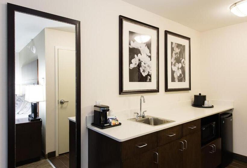 جناح سرير كينج, Holiday Inn Express & Suites Aiken, An Ihg