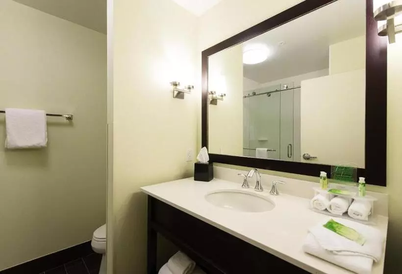 スタンダードルーム, Holiday Inn Express & Suites Aiken, An Ihg