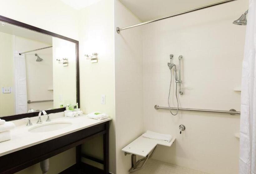 غرفة قياسية سرير كينج لذوى الإحتياجات الخاصة, Holiday Inn Express & Suites Aiken, An Ihg