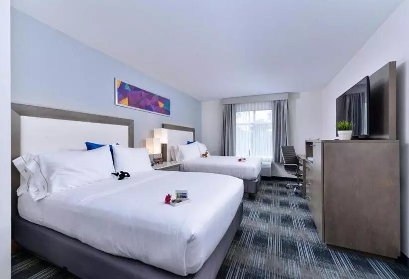 スタンダードルーム, Holiday Inn Express & Suites San Diego   Mission Valley, An Ihg
