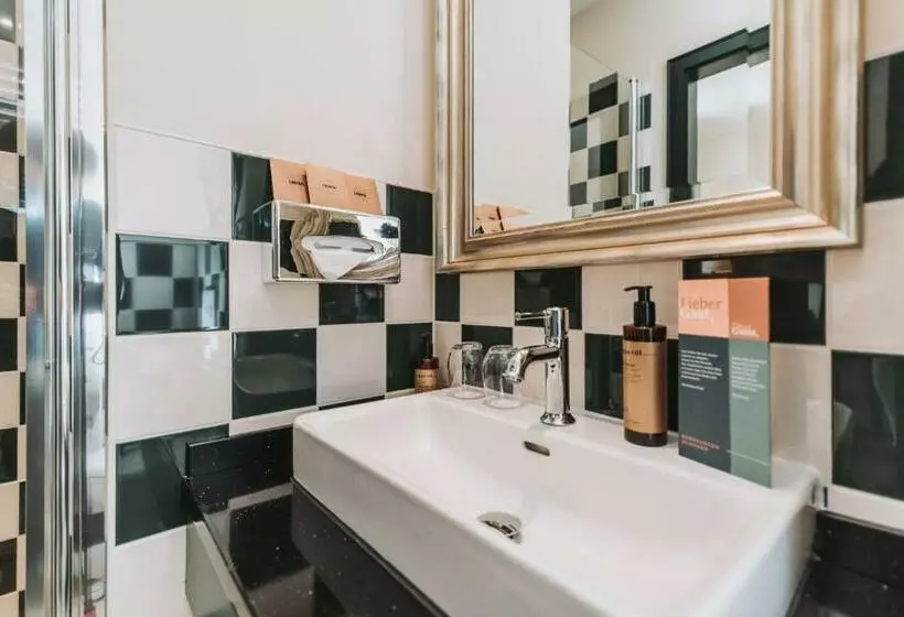 Standard-huone, & Spa Suiten Freiwerk