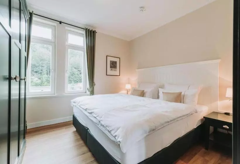 Comfort-huone, & Spa Suiten Freiwerk