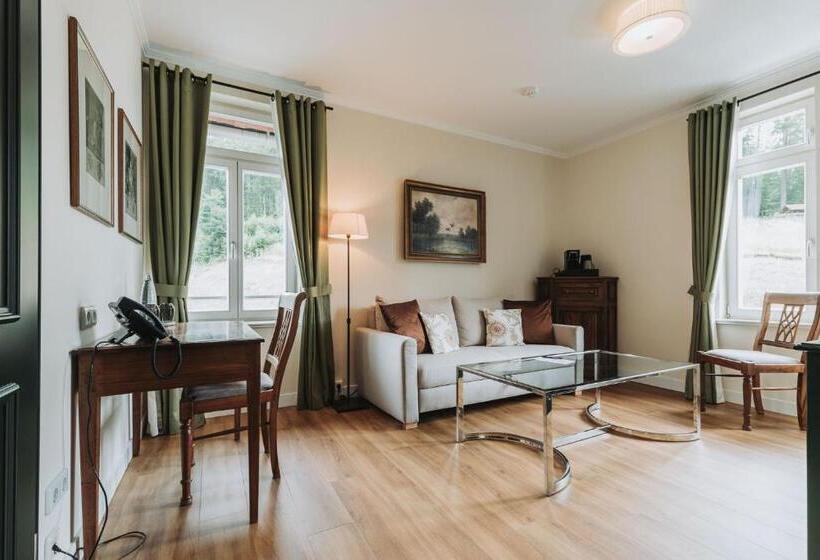 コンフォートルーム, & Spa Suiten Freiwerk