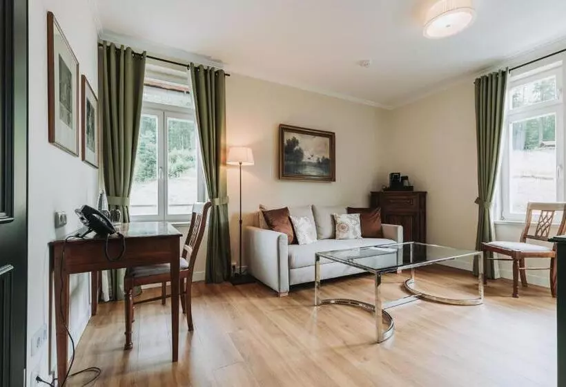 Comfort-huone, & Spa Suiten Freiwerk
