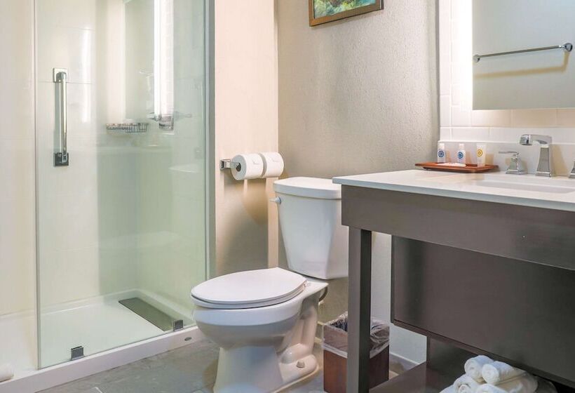 اتاق استاندارد با 2 تخت دوبل, Comfort Inn & Suites Tobago