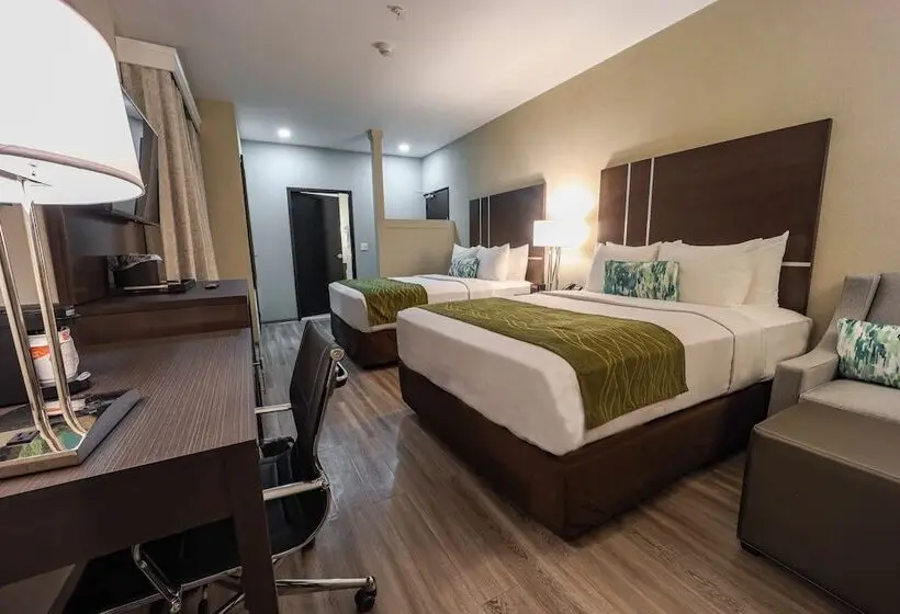 اتاق استاندارد با 2 تخت دوبل, Comfort Inn & Suites Tobago