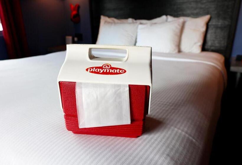 Standard Szoba King Size Bed, Gaythering   Gay Hotel   All Adults Welcome