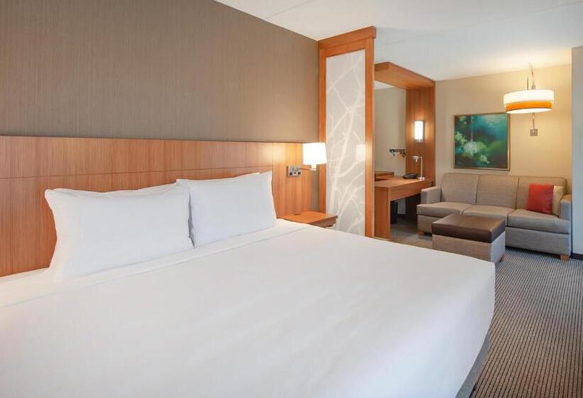 Стандартный Номер Кровать Кинг, Hyatt Place Durham Southpoint