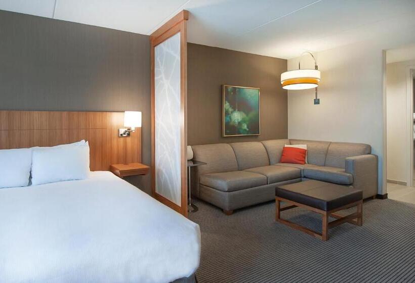Стандартный Номер Кровать Кинг, Hyatt Place Durham Southpoint