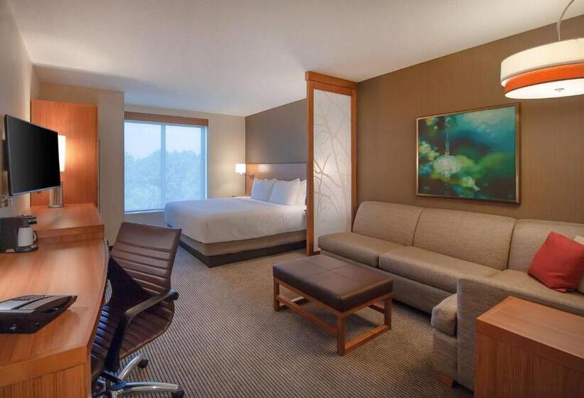 Стандартный Номер Кровать Кинг, Hyatt Place Durham Southpoint