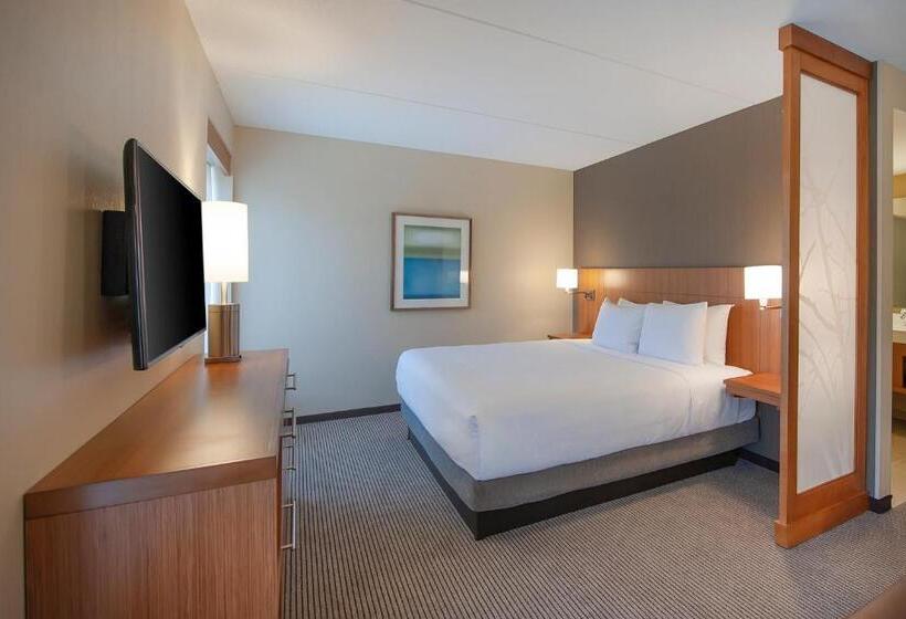 Стандартный Номер Кровать Кинг, Hyatt Place Durham Southpoint