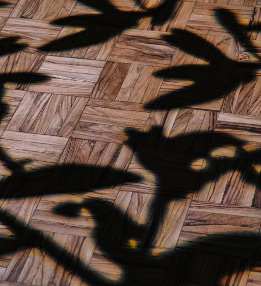 コンフォートルーム, Palazzo Belvedere