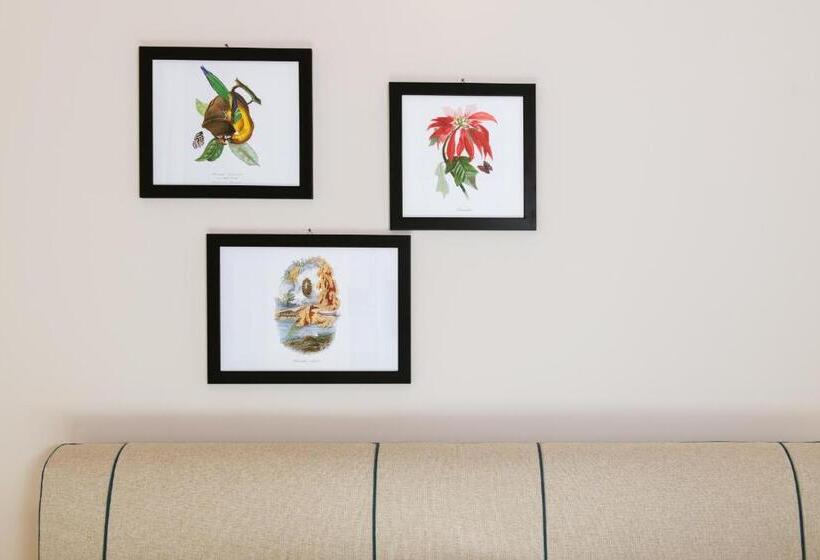 غرفة كومفورت, Palazzo Belvedere