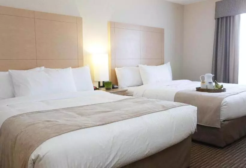 スタンダードルーム, Vegreville Suites