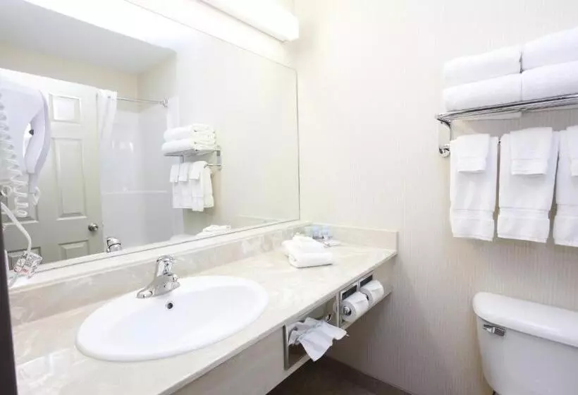 キングサイズベッドのスイートルーム, Vegreville Suites