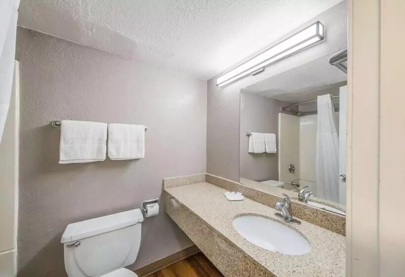 デラックスルーム, Motel 6laredo, Tx North I35