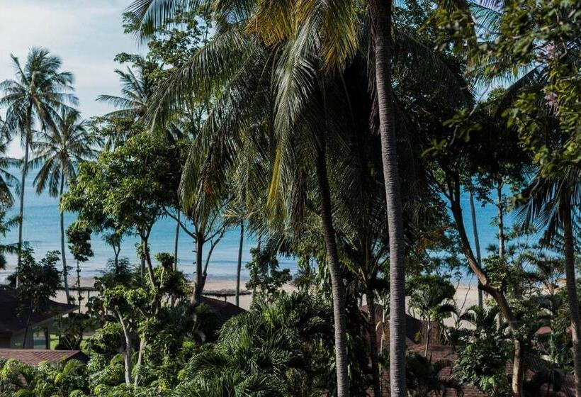 带观景的豪华间, Anda Lanta Resort